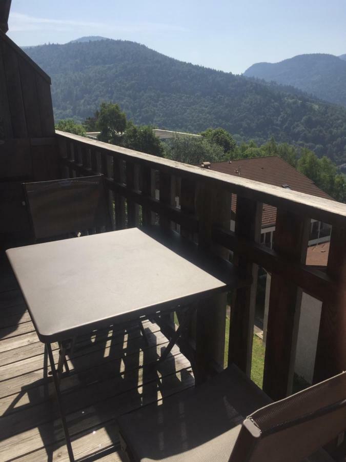 Charmant T3 Bussang, Vosges, Vue Imprenable Kültér fotó